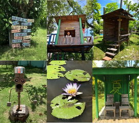 藝術(shù)點(diǎn)亮土溝 鄉(xiāng)村觀察 臺(tái)灣