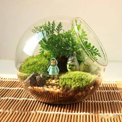 定于柏鄉9月19日